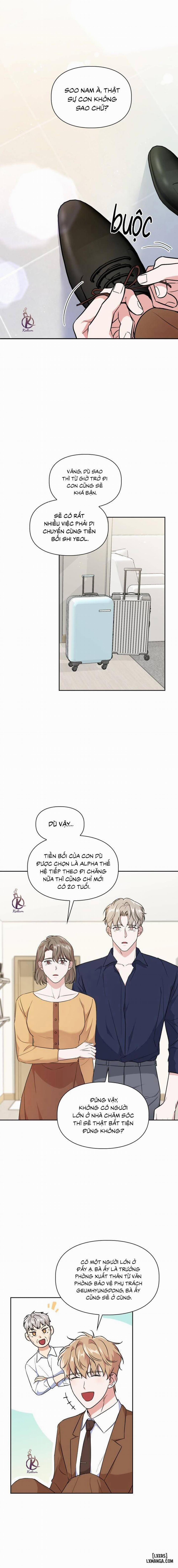 Mồi nhử 79 0 Hết trang 12