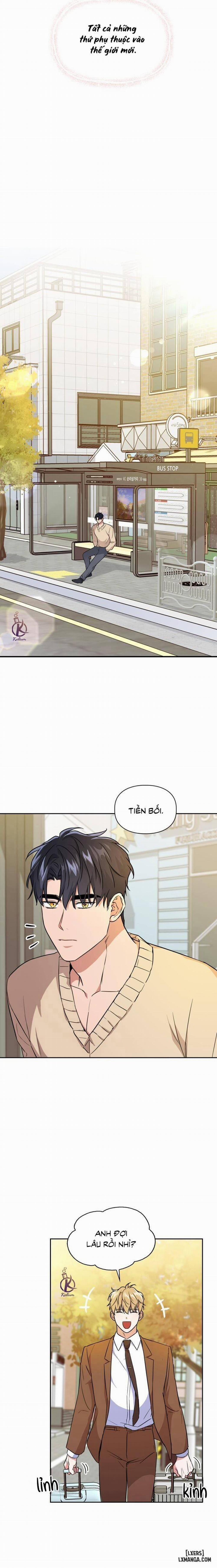 Mồi nhử 79 0 Hết trang 16