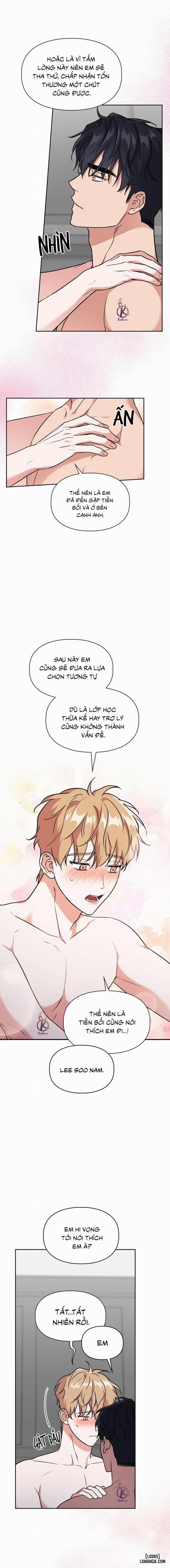 Mồi nhử 79 0 Hết trang 8