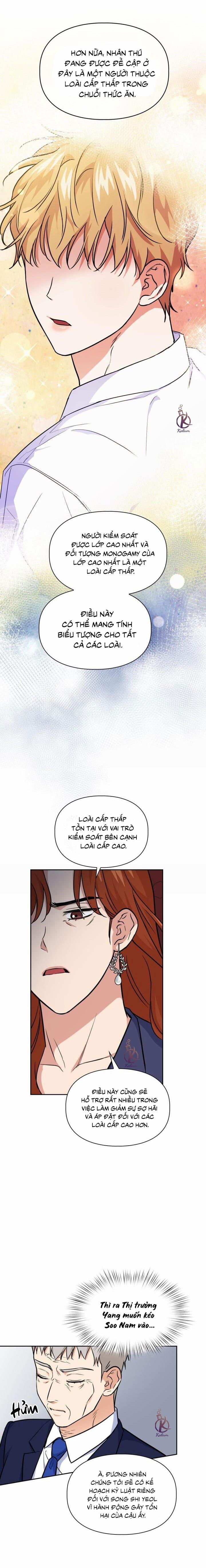 Mồi nhử 79 trang 12