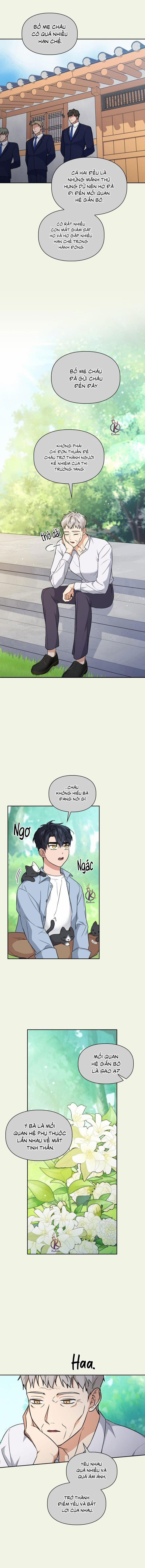 Mồi nhử 80 trang 2