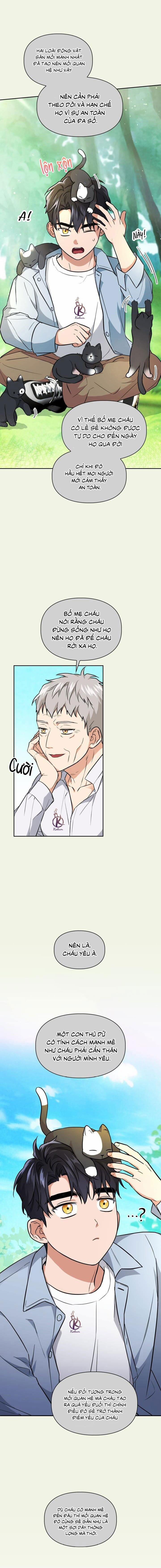 Mồi nhử 80 trang 3