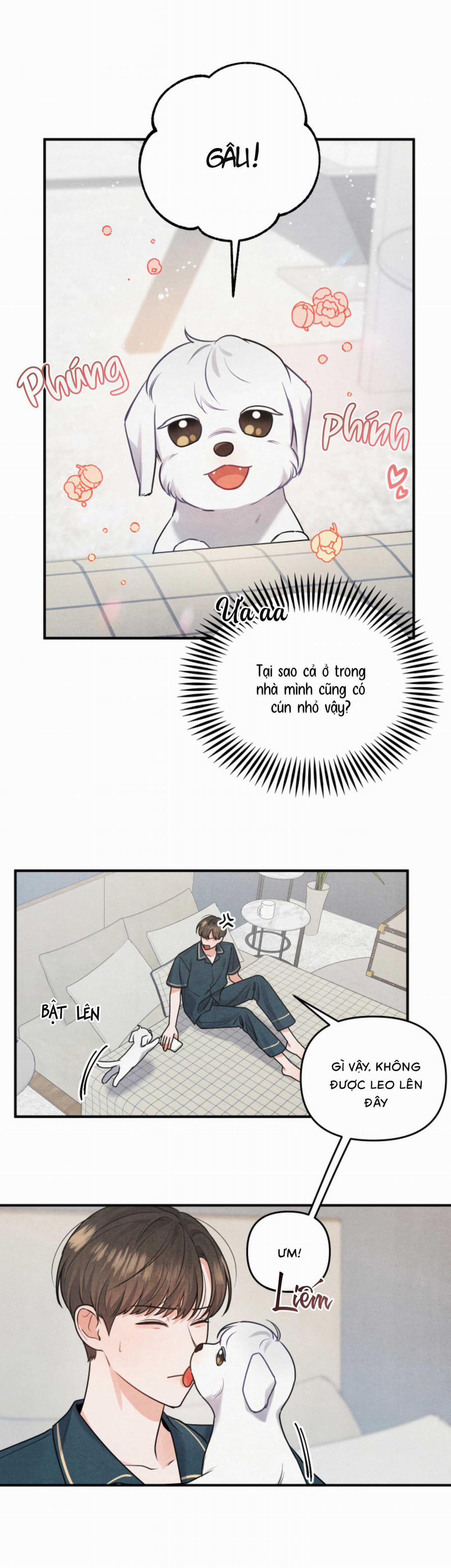 Mối Quan Hệ Bất Đắc Dĩ 1 trang 3