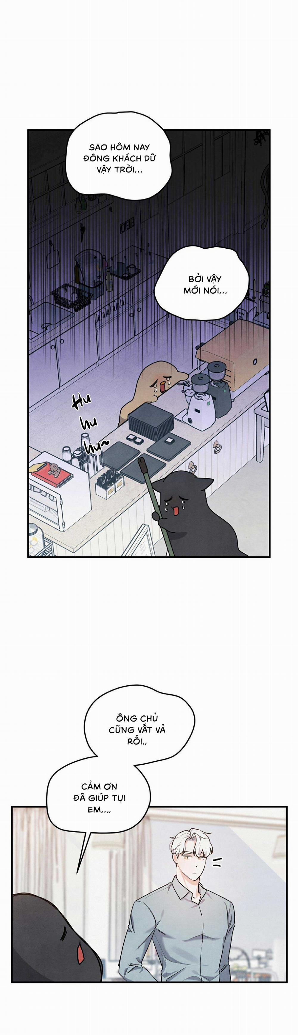 Mối Quan Hệ Bất Đắc Dĩ 10 trang 0