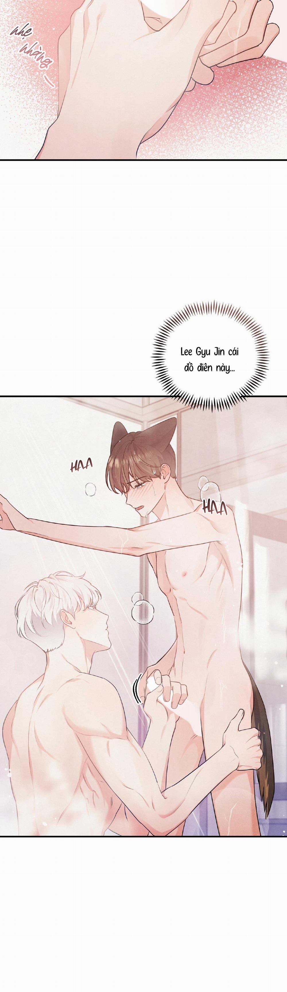 Mối Quan Hệ Bất Đắc Dĩ 12 trang 16