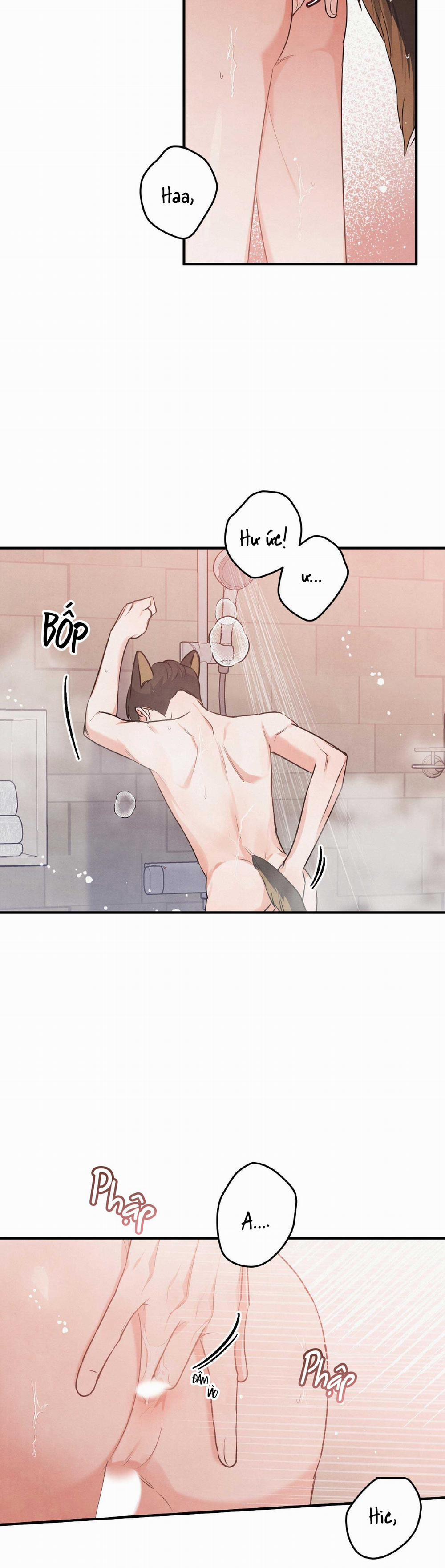 Mối Quan Hệ Bất Đắc Dĩ 12 trang 22