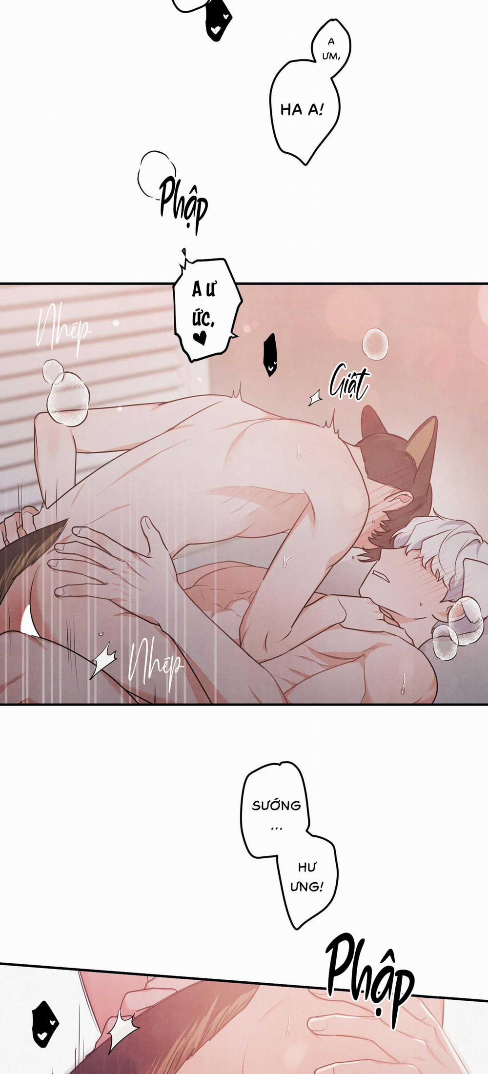 Mối Quan Hệ Bất Đắc Dĩ 16 trang 15