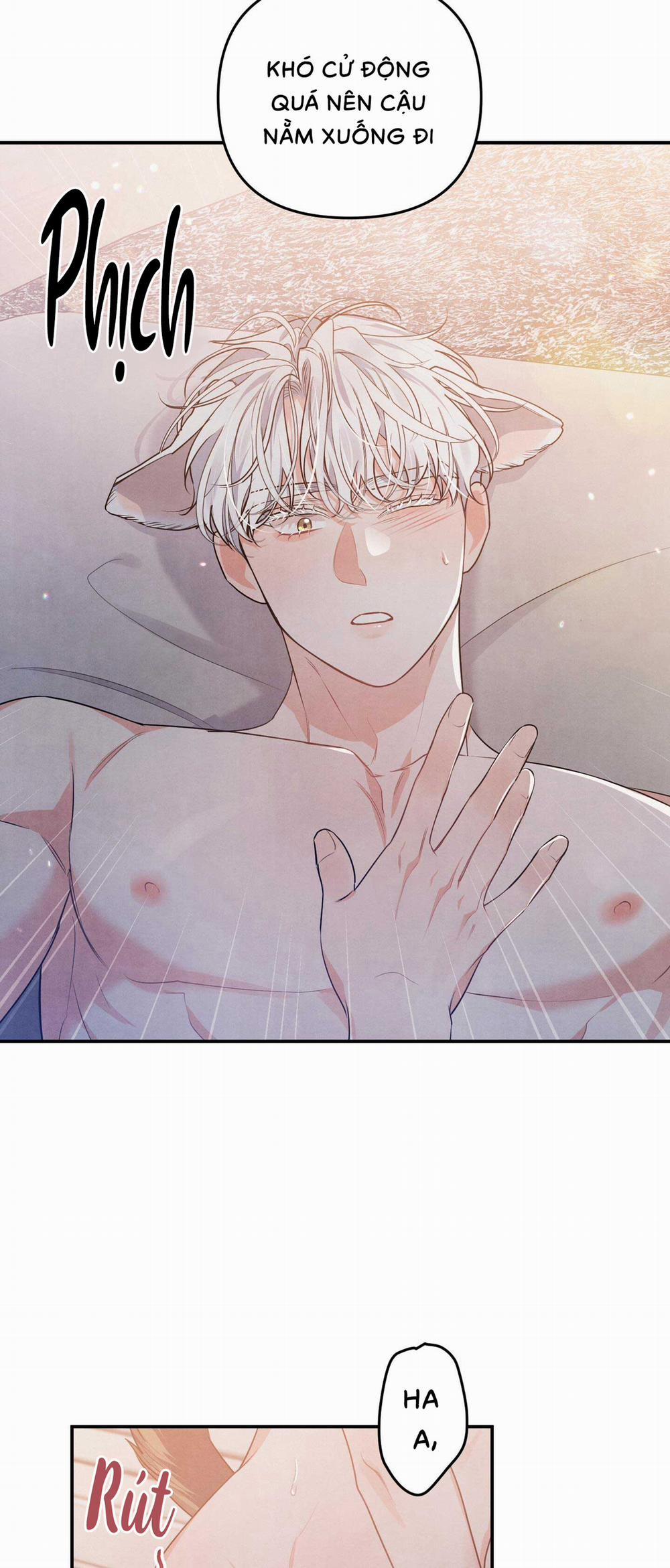 Mối Quan Hệ Bất Đắc Dĩ 16 trang 3