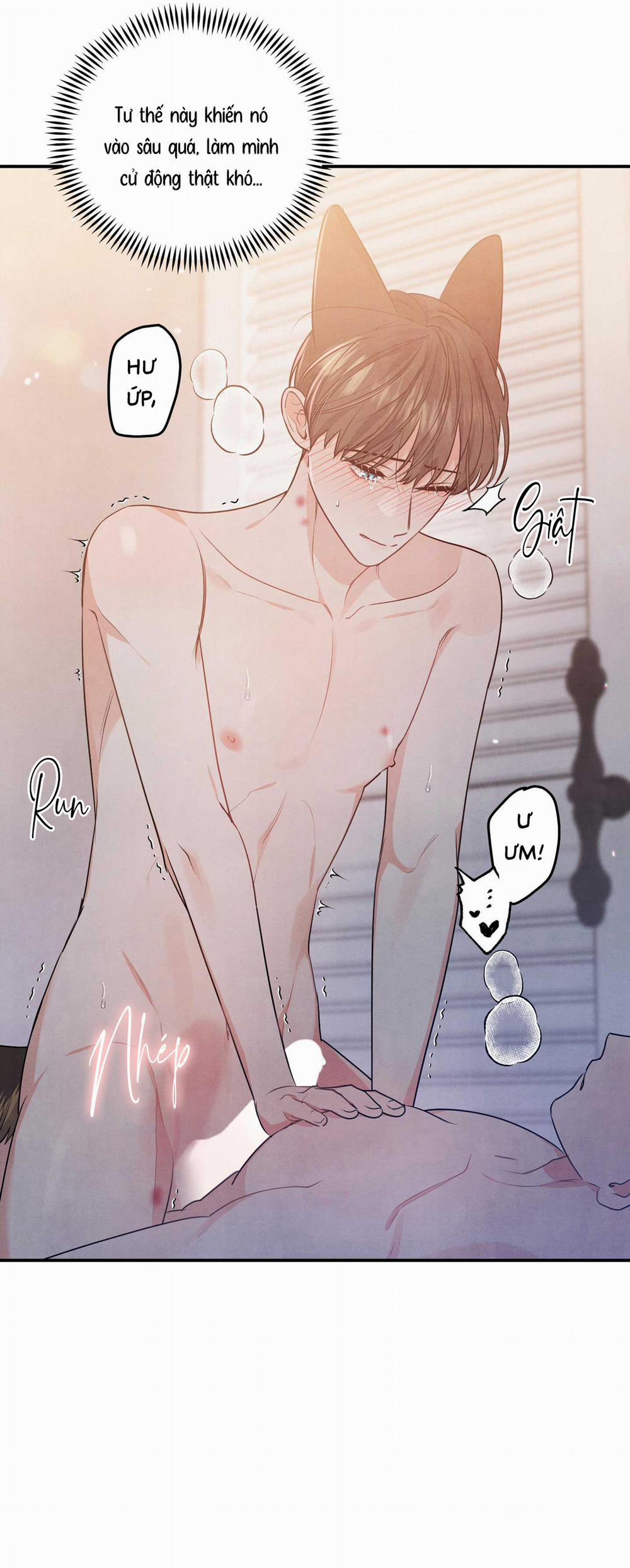 Mối Quan Hệ Bất Đắc Dĩ 16 trang 5