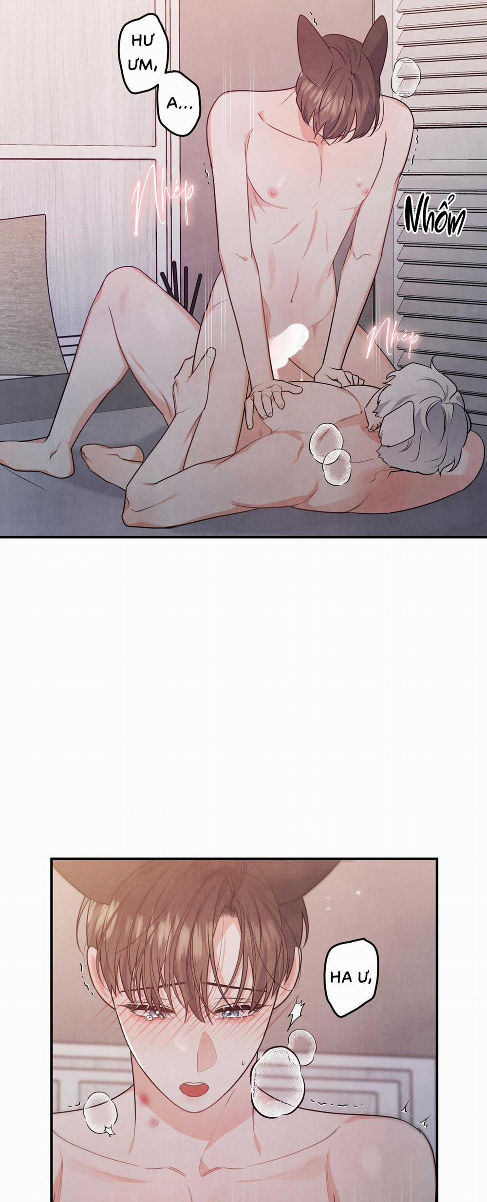 Mối Quan Hệ Bất Đắc Dĩ 16 trang 7