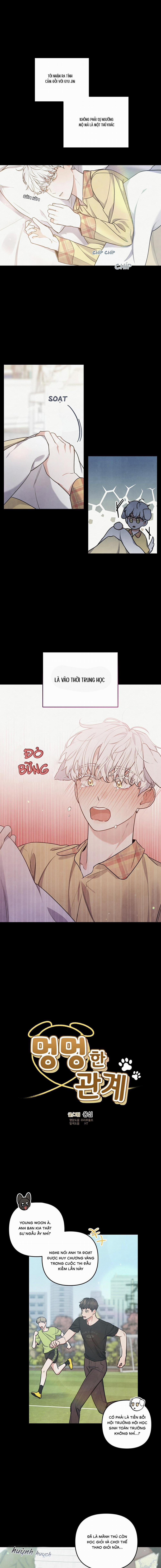 Mối Quan Hệ Bất Đắc Dĩ 21 trang 0