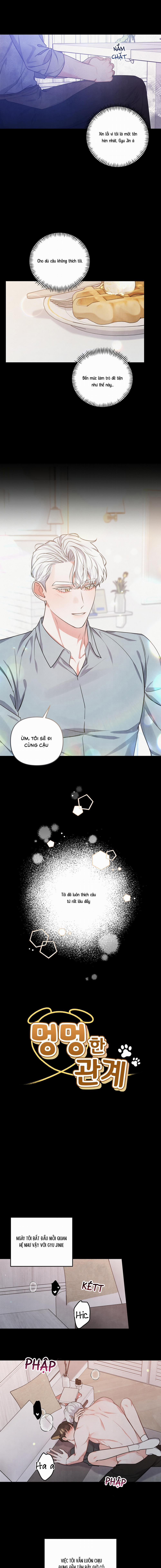 Mối Quan Hệ Bất Đắc Dĩ 22 trang 2