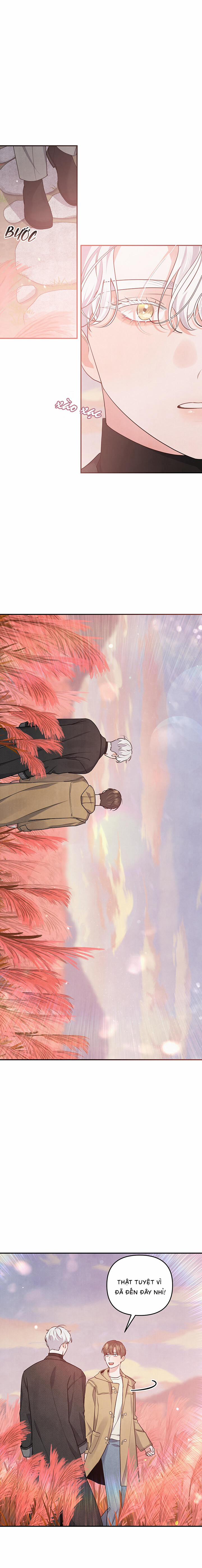 Mối Quan Hệ Bất Đắc Dĩ 26 trang 12