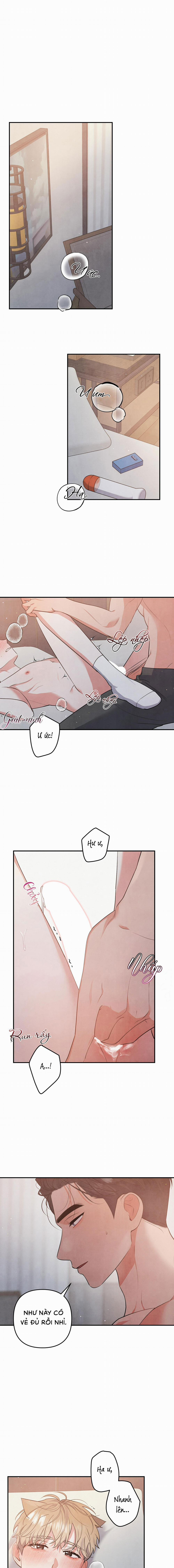 Mối Quan Hệ Bất Đắc Dĩ 45 trang 0