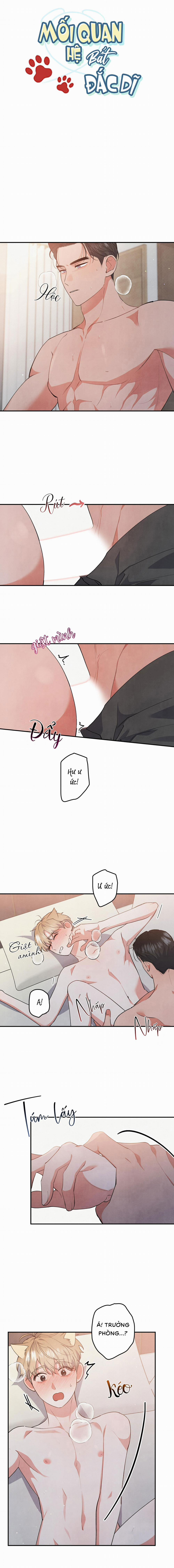 Mối Quan Hệ Bất Đắc Dĩ 45 trang 6