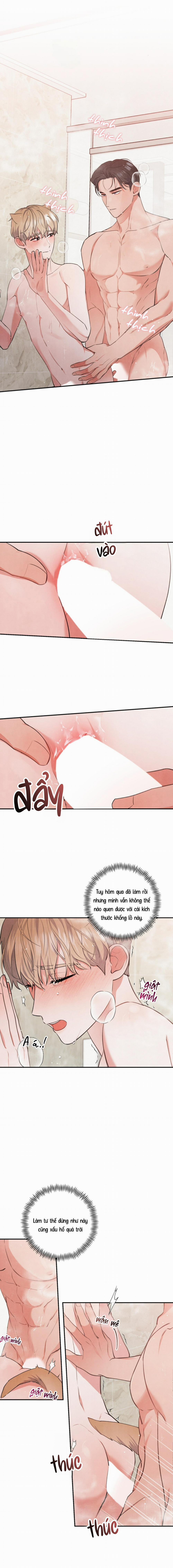 Mối Quan Hệ Bất Đắc Dĩ 49 trang 0