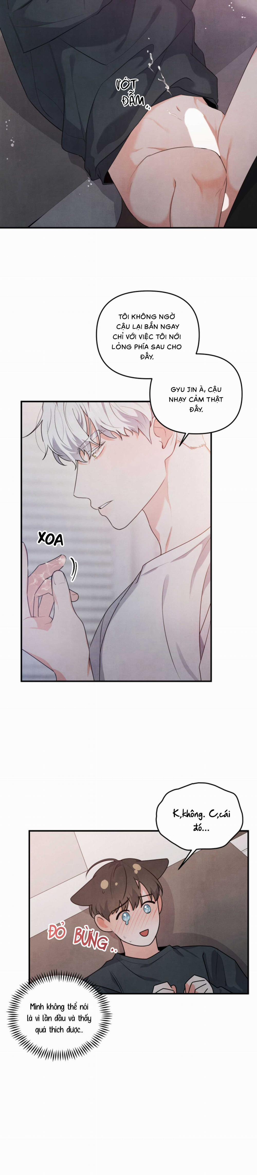 Mối Quan Hệ Bất Đắc Dĩ 5 trang 12