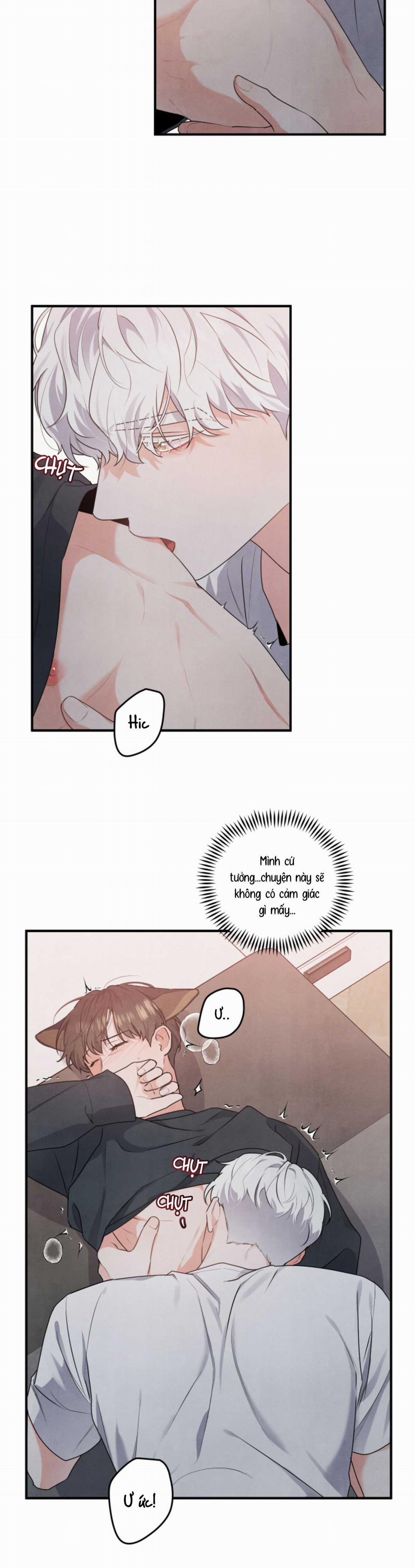 Mối Quan Hệ Bất Đắc Dĩ 5 trang 15