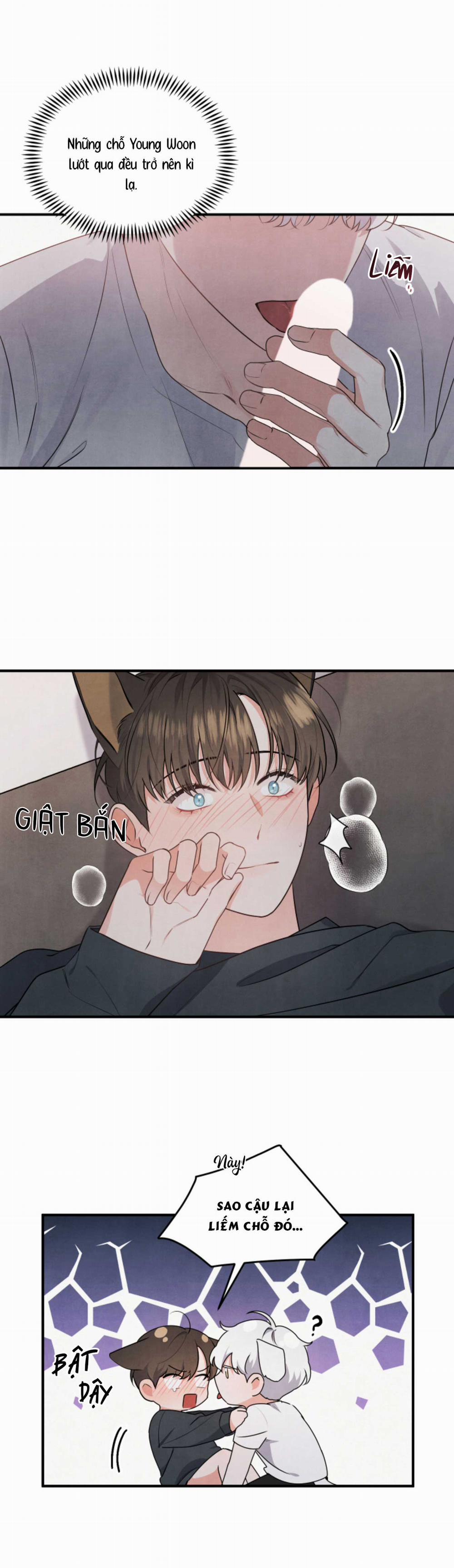 Mối Quan Hệ Bất Đắc Dĩ 5 trang 16