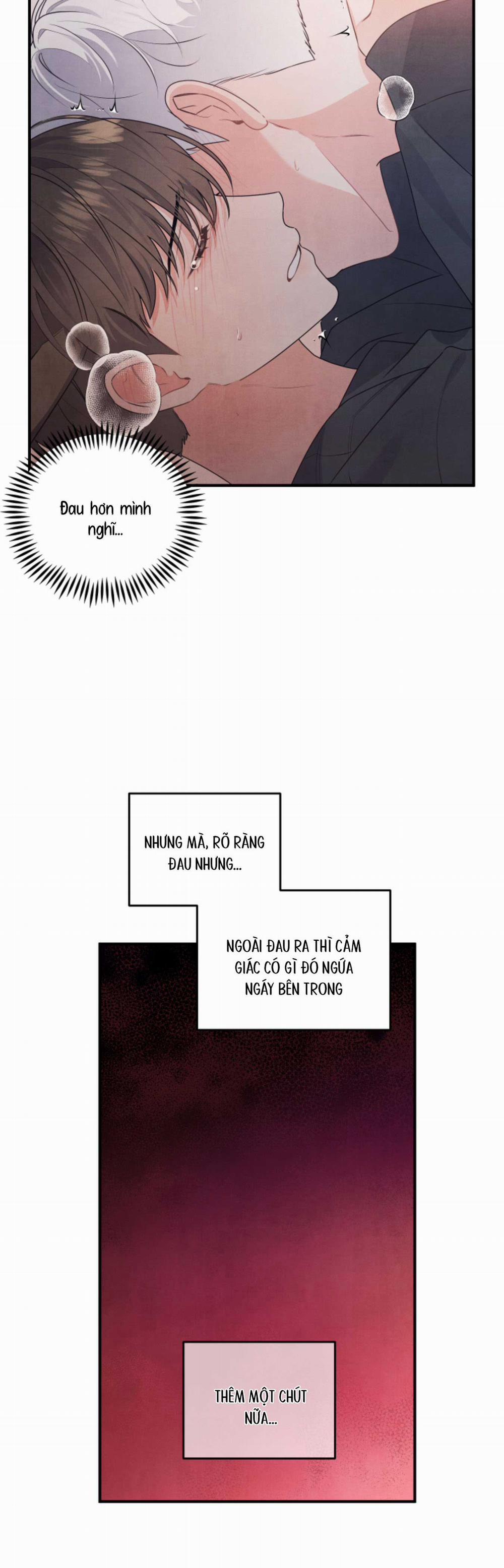 Mối Quan Hệ Bất Đắc Dĩ 5 trang 24