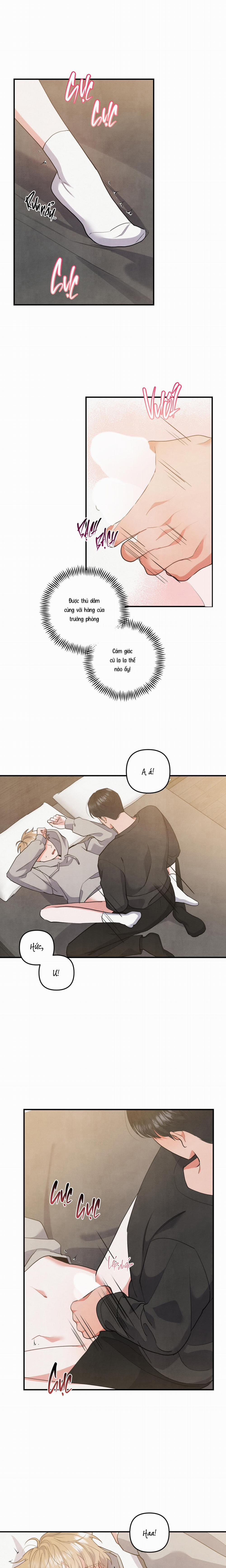 Mối Quan Hệ Bất Đắc Dĩ 71 trang 0