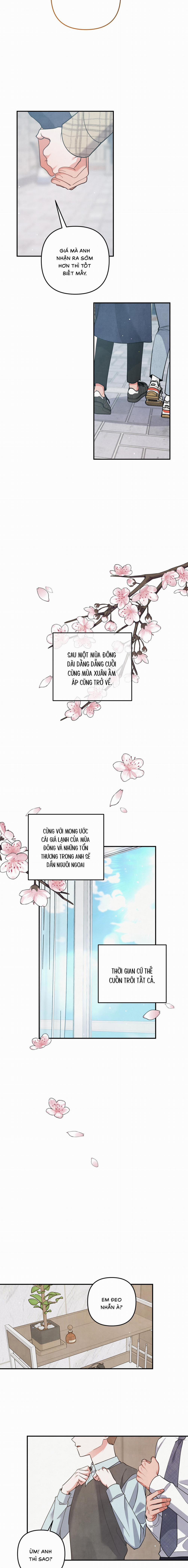 Mối Quan Hệ Bất Đắc Dĩ 73 trang 8