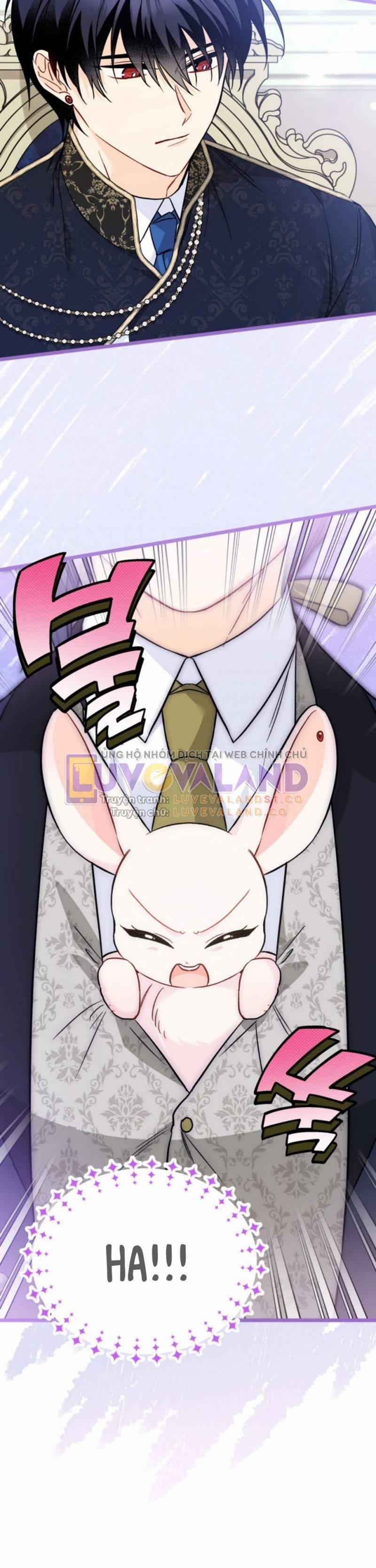 Mối Quan Hệ Cộng Sinh Giữa Báo Đen Và Thỏ Trắng 0 NT1 trang 25