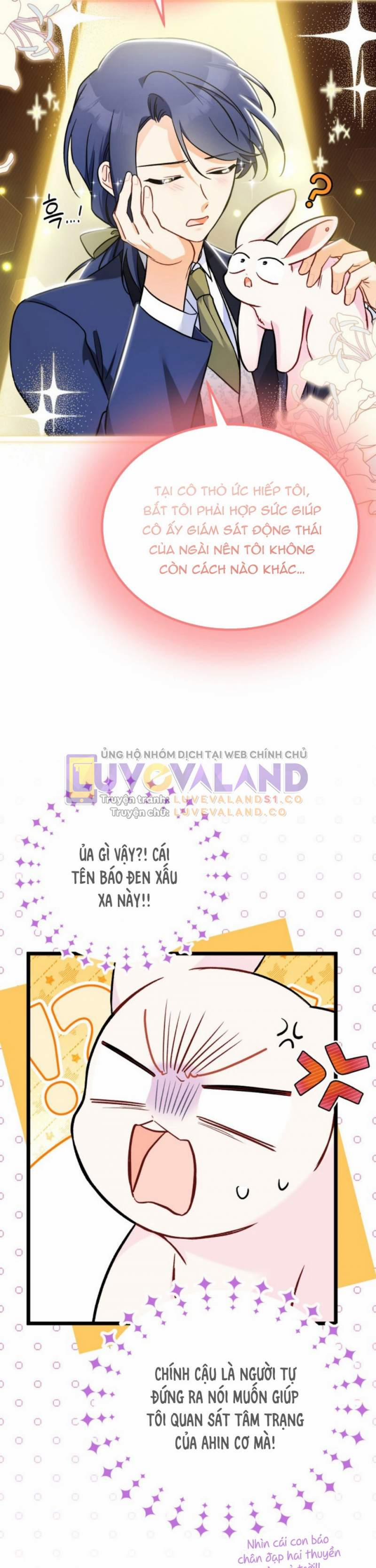 Mối Quan Hệ Cộng Sinh Giữa Báo Đen Và Thỏ Trắng 0 NT1 trang 30