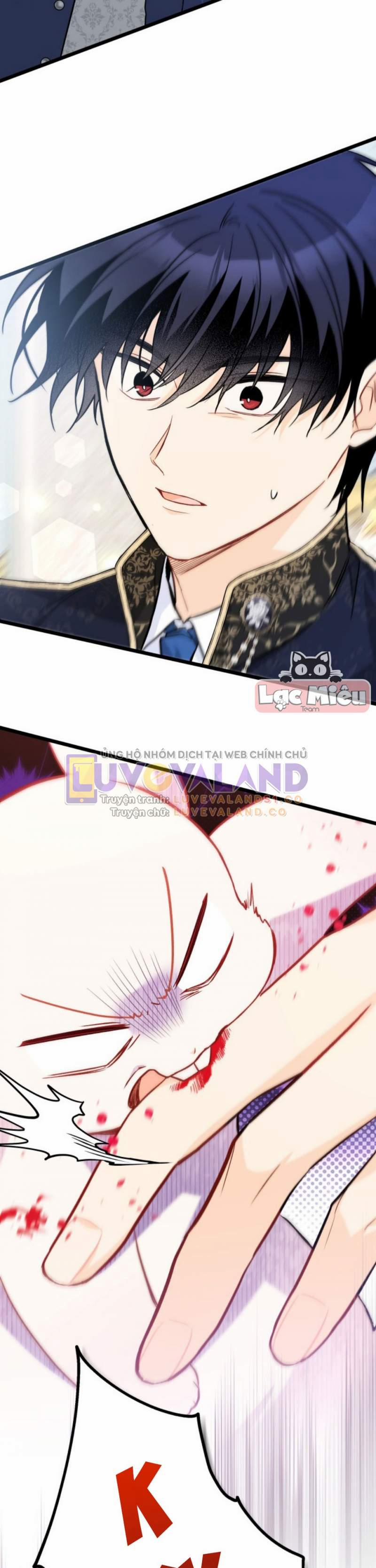 Mối Quan Hệ Cộng Sinh Giữa Báo Đen Và Thỏ Trắng 0 NT1 trang 38