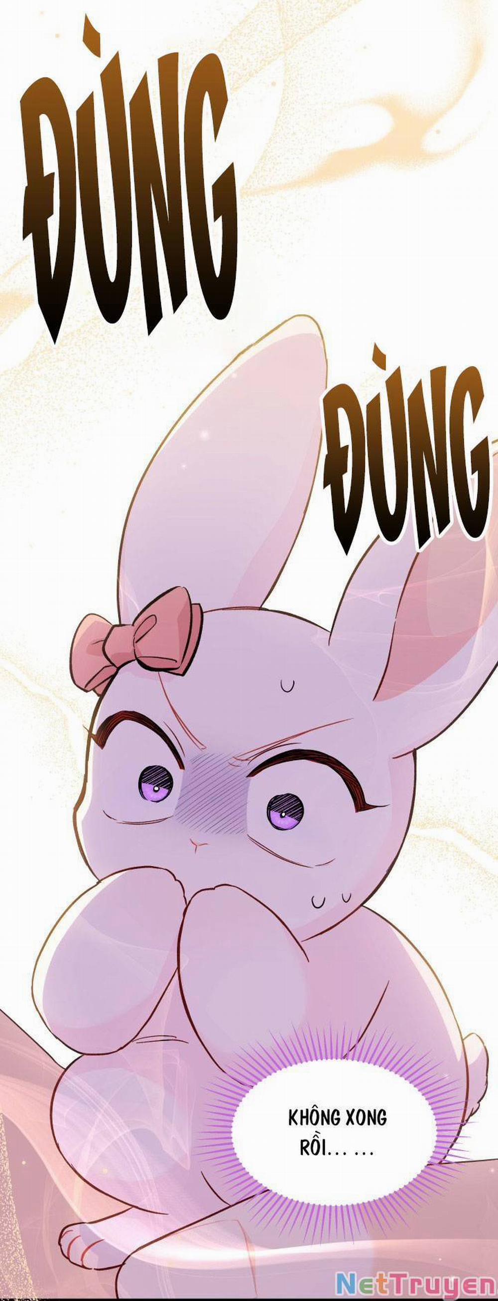 Mối Quan Hệ Cộng Sinh Giữa Báo Đen Và Thỏ Trắng 101 trang 1