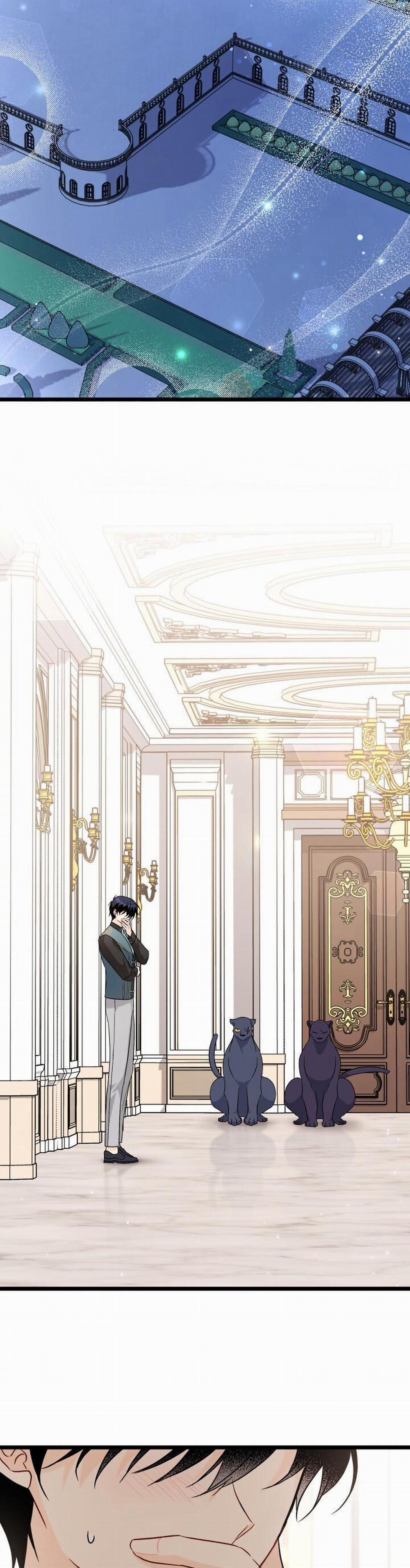 Mối Quan Hệ Cộng Sinh Giữa Báo Đen Và Thỏ Trắng 102 trang 10