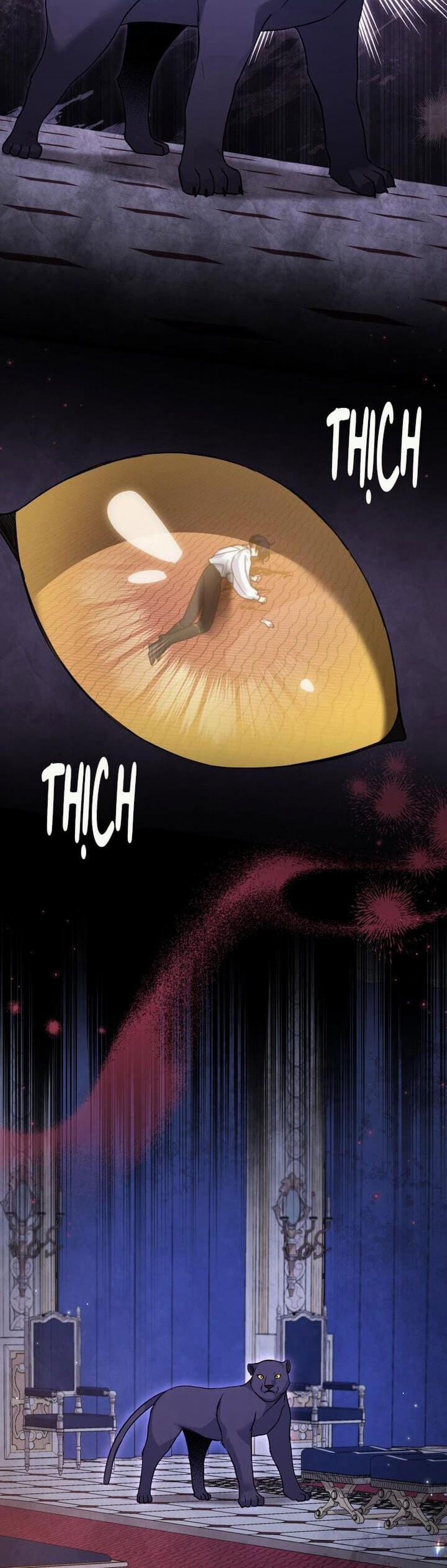 Mối Quan Hệ Cộng Sinh Giữa Báo Đen Và Thỏ Trắng 115 trang 19