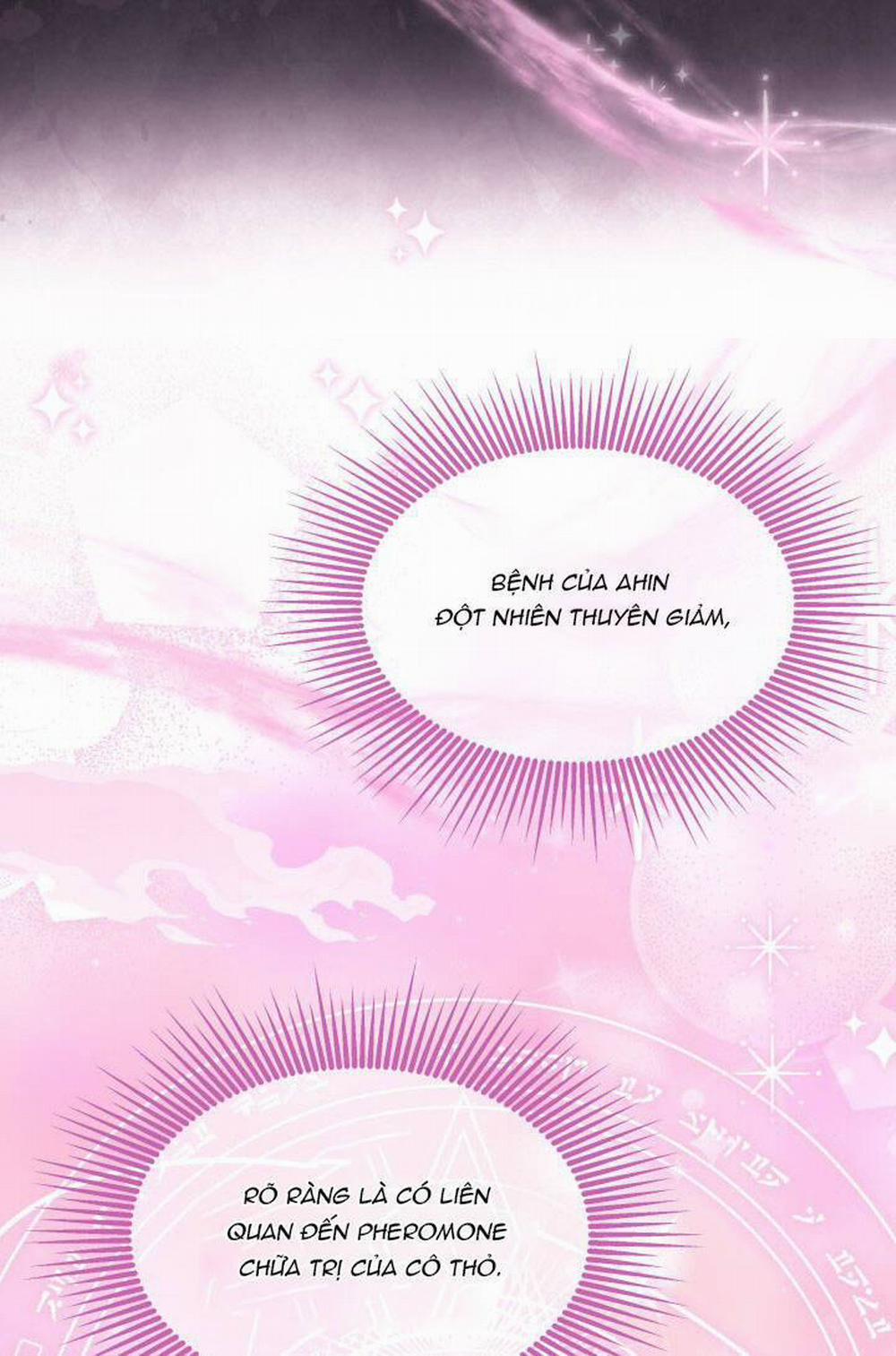 Mối Quan Hệ Cộng Sinh Giữa Báo Đen Và Thỏ Trắng 117.1 trang 28