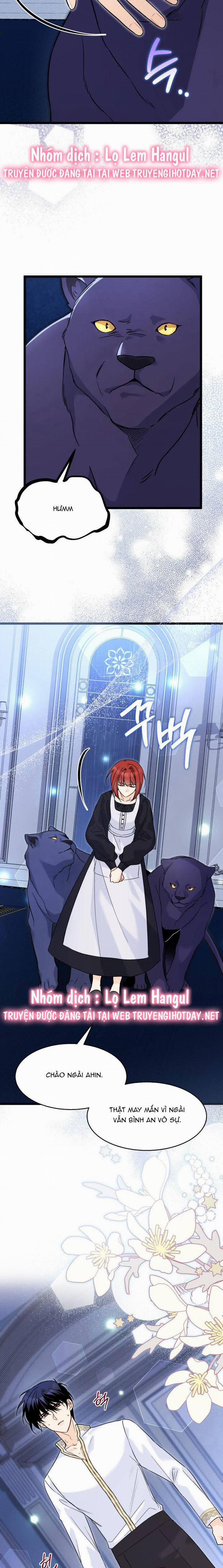 Mối Quan Hệ Cộng Sinh Giữa Báo Đen Và Thỏ Trắng 118.1 trang 10