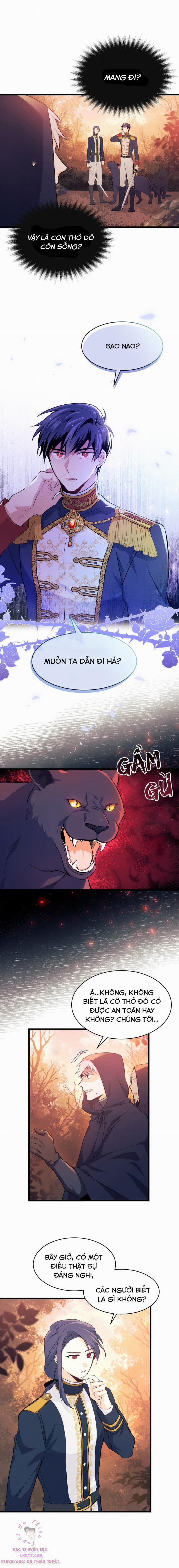 Mối Quan Hệ Cộng Sinh Giữa Báo Đen Và Thỏ Trắng 12 trang 7