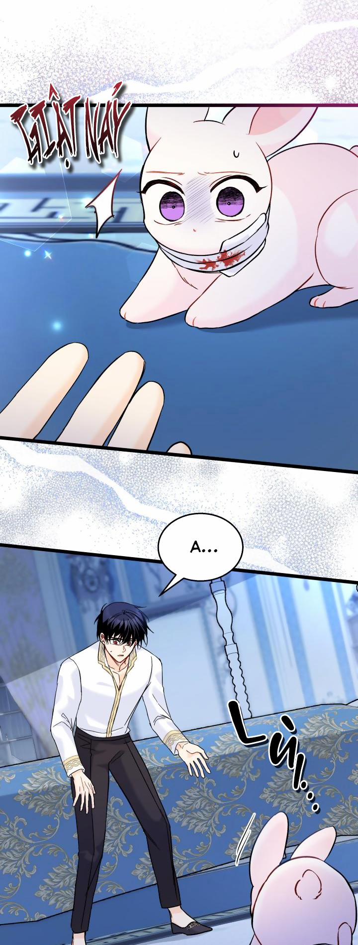 Mối Quan Hệ Cộng Sinh Giữa Báo Đen Và Thỏ Trắng 120.1 trang 11