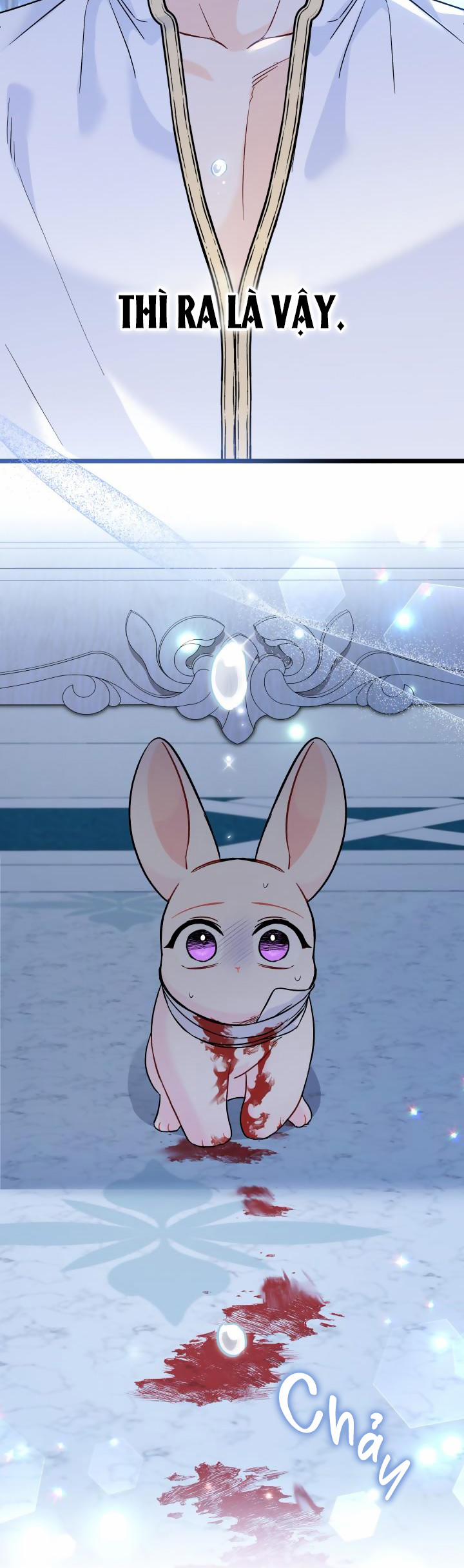 Mối Quan Hệ Cộng Sinh Giữa Báo Đen Và Thỏ Trắng 120.1 trang 23