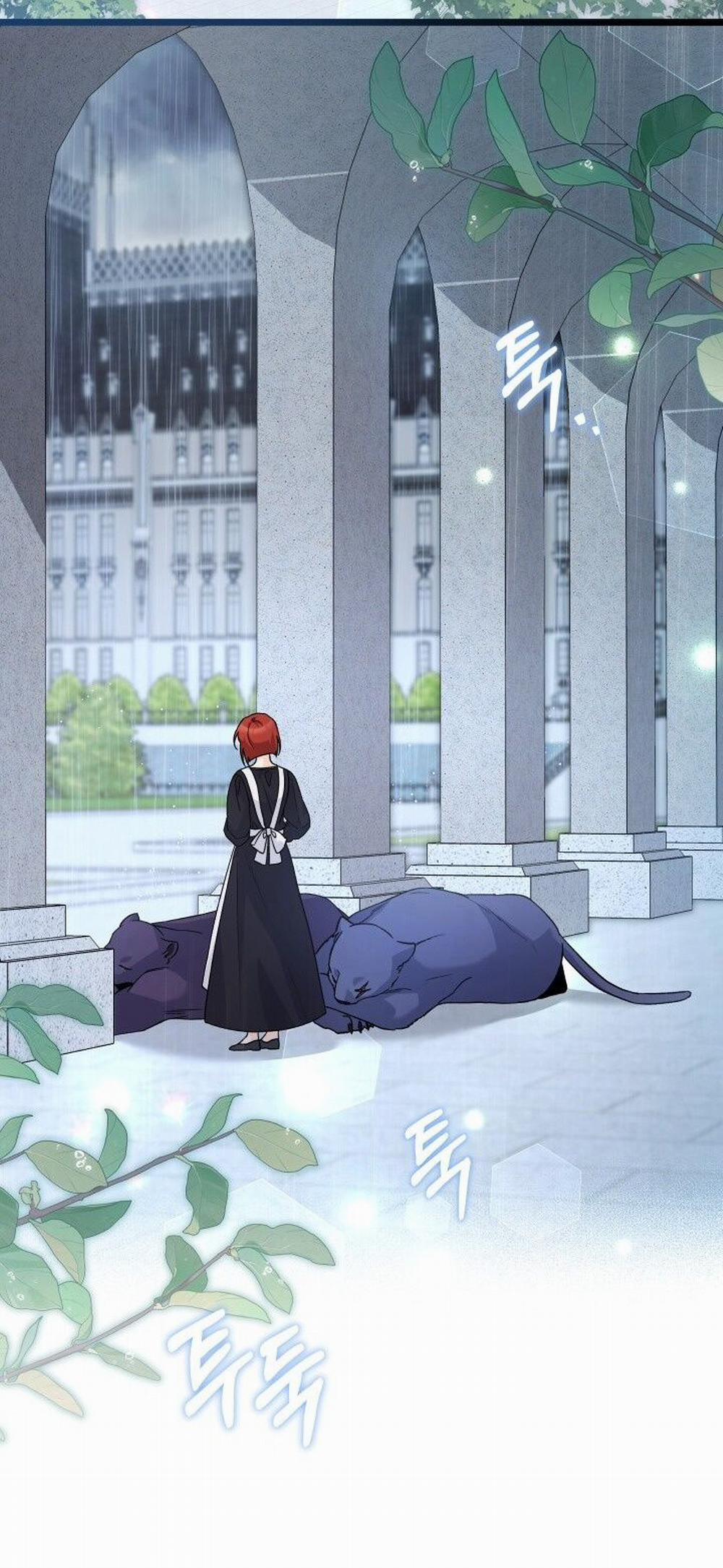 Mối Quan Hệ Cộng Sinh Giữa Báo Đen Và Thỏ Trắng 121 trang 15