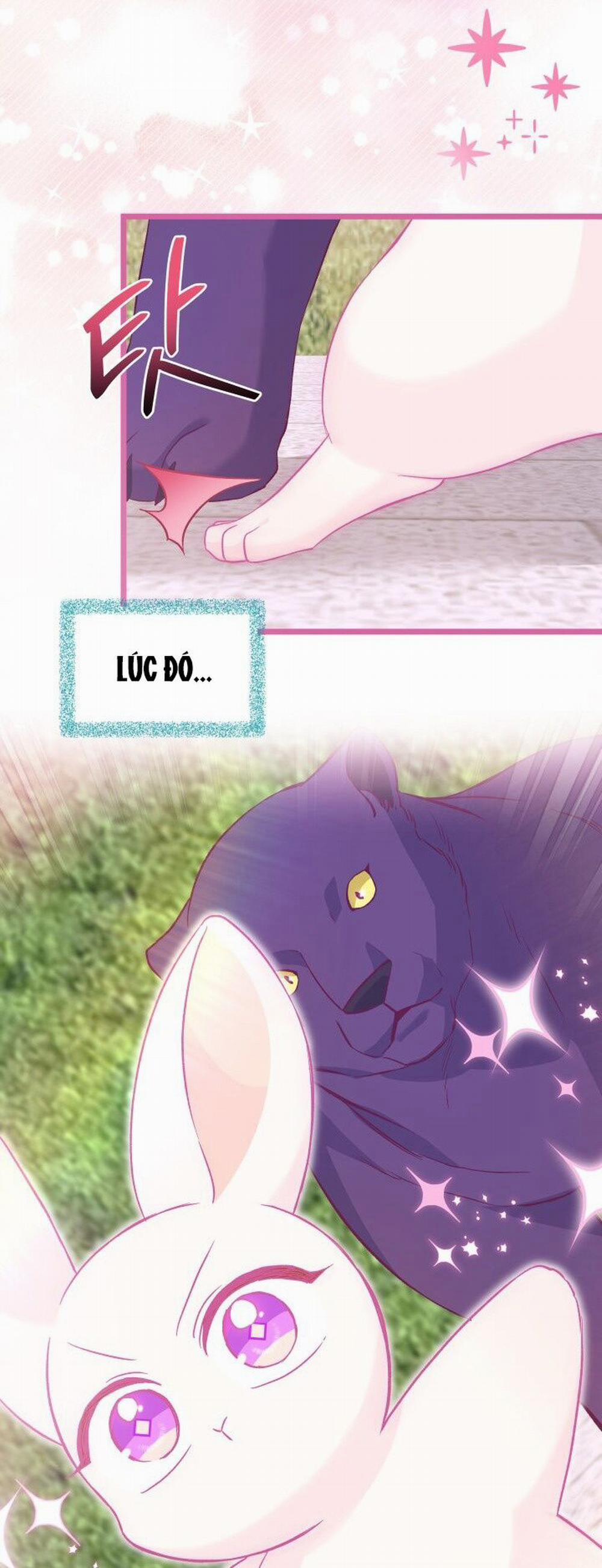 Mối Quan Hệ Cộng Sinh Giữa Báo Đen Và Thỏ Trắng 121 trang 21