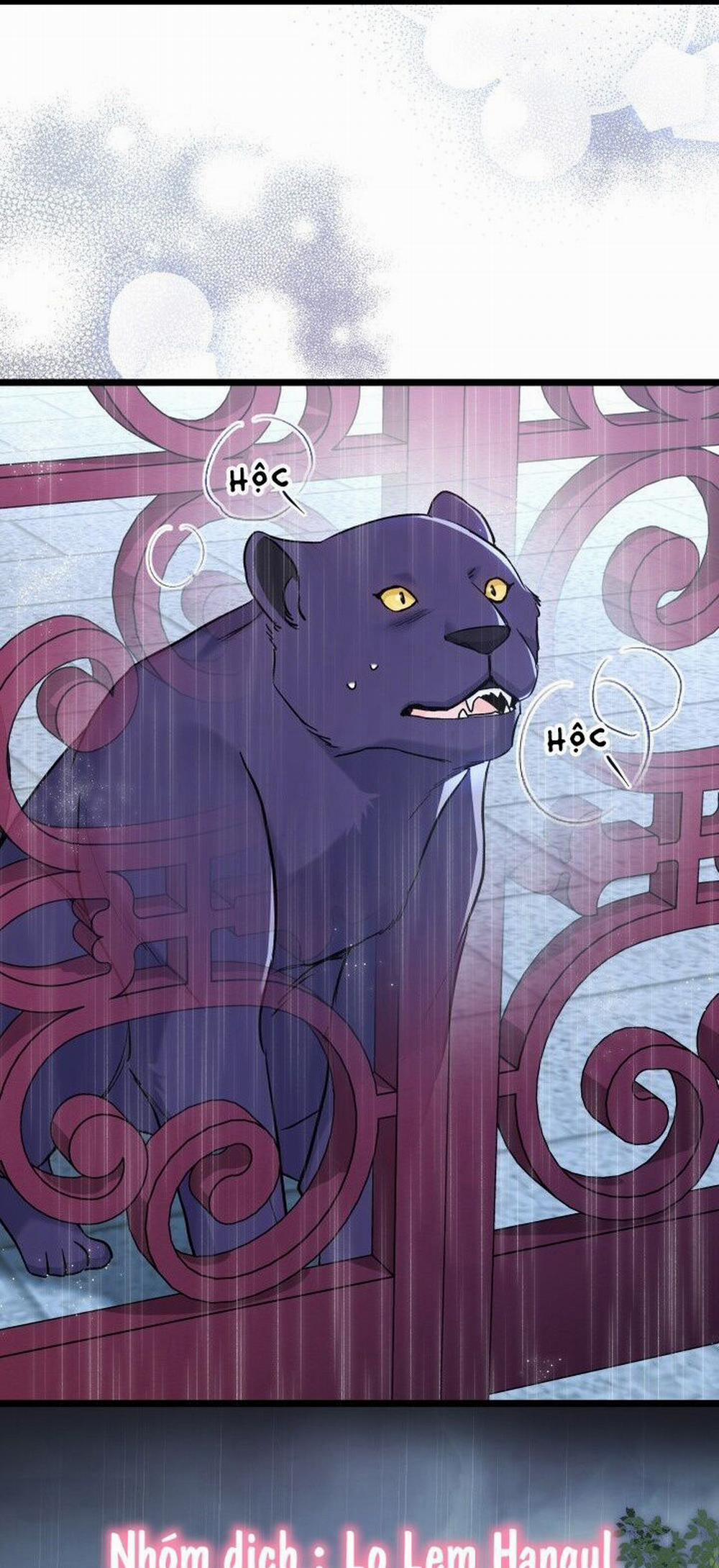 Mối Quan Hệ Cộng Sinh Giữa Báo Đen Và Thỏ Trắng 121 trang 39