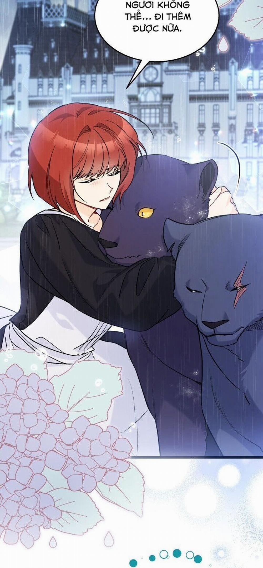 Mối Quan Hệ Cộng Sinh Giữa Báo Đen Và Thỏ Trắng 121 trang 42