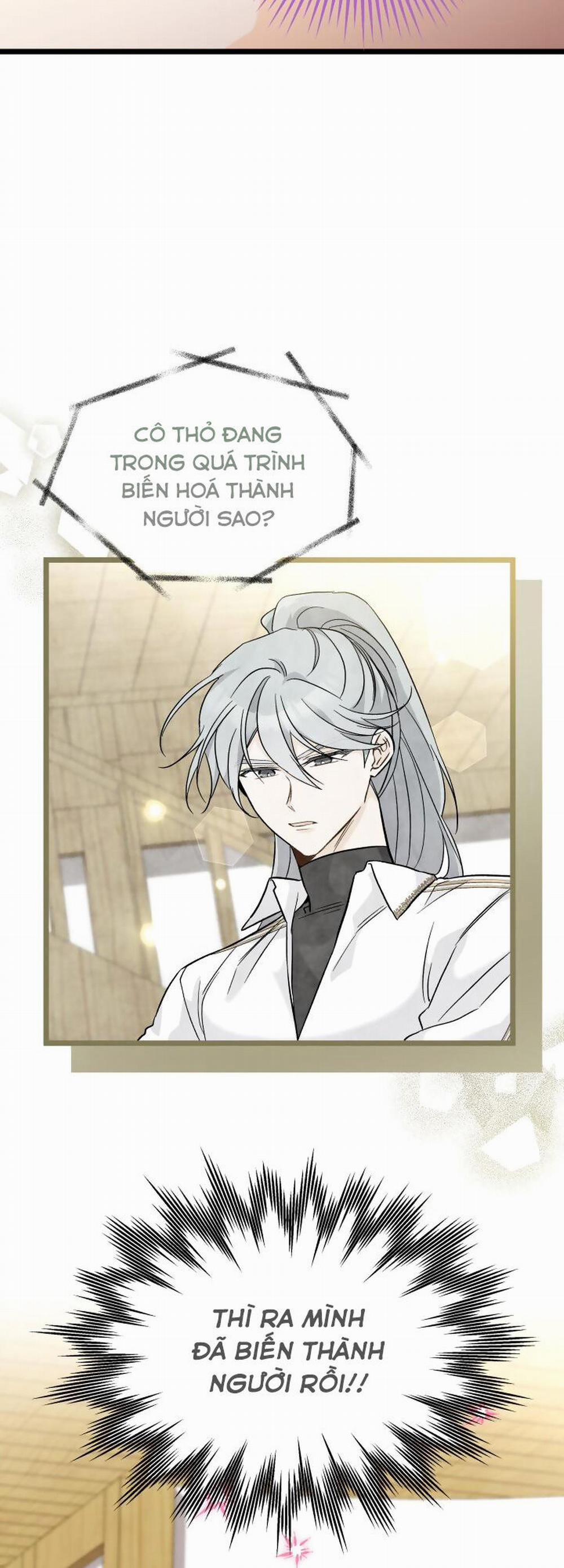 Mối Quan Hệ Cộng Sinh Giữa Báo Đen Và Thỏ Trắng 123 trang 17