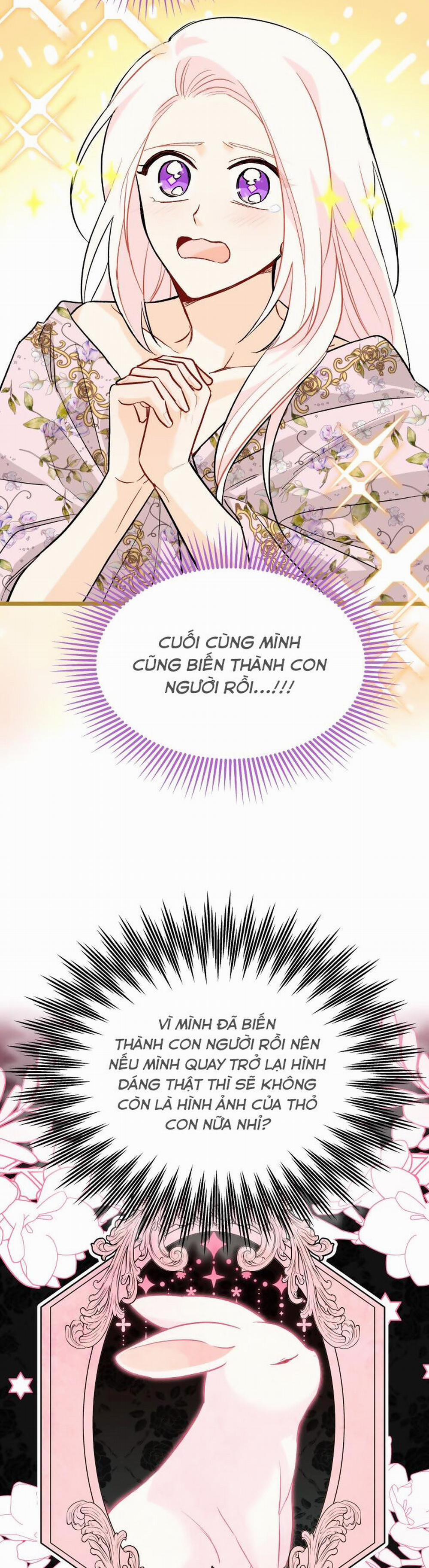 Mối Quan Hệ Cộng Sinh Giữa Báo Đen Và Thỏ Trắng 123 trang 22