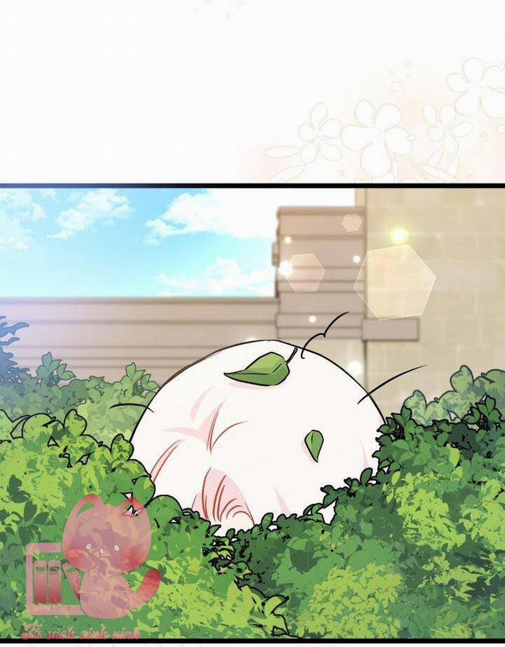 Mối Quan Hệ Cộng Sinh Giữa Báo Đen Và Thỏ Trắng 126 trang 18