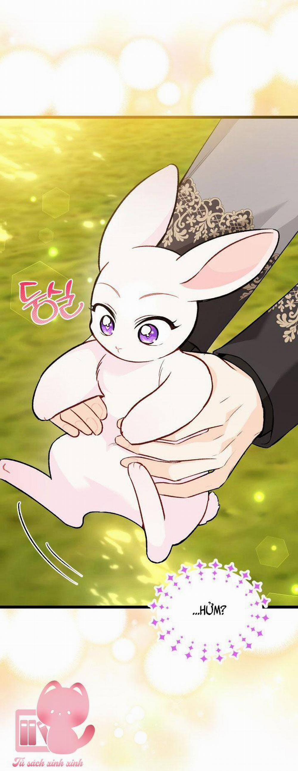 Mối Quan Hệ Cộng Sinh Giữa Báo Đen Và Thỏ Trắng 127 trang 58