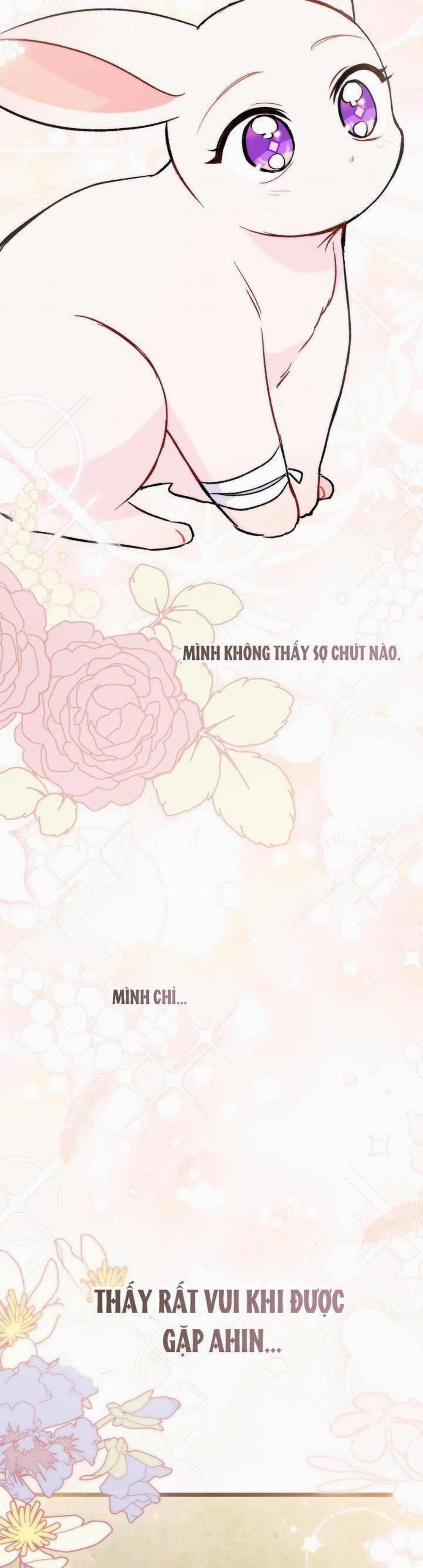 Mối Quan Hệ Cộng Sinh Giữa Báo Đen Và Thỏ Trắng 128.2 trang 3