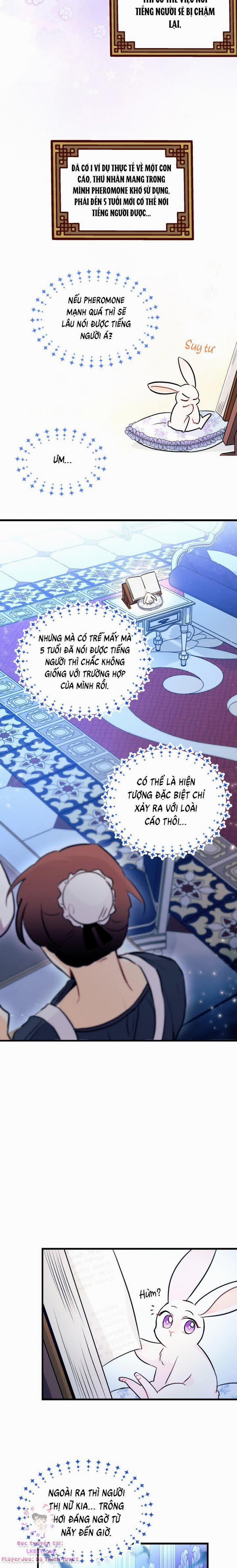 Mối Quan Hệ Cộng Sinh Giữa Báo Đen Và Thỏ Trắng 13 trang 14