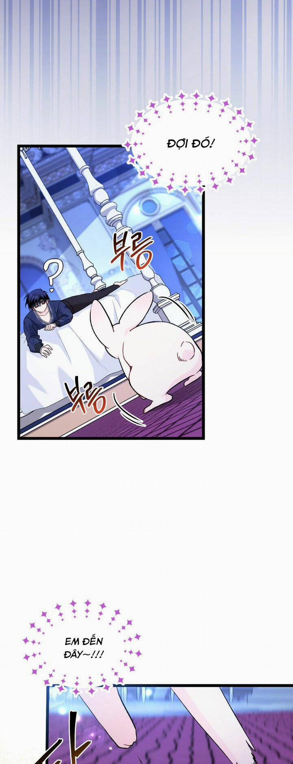 Mối Quan Hệ Cộng Sinh Giữa Báo Đen Và Thỏ Trắng 130 trang 31