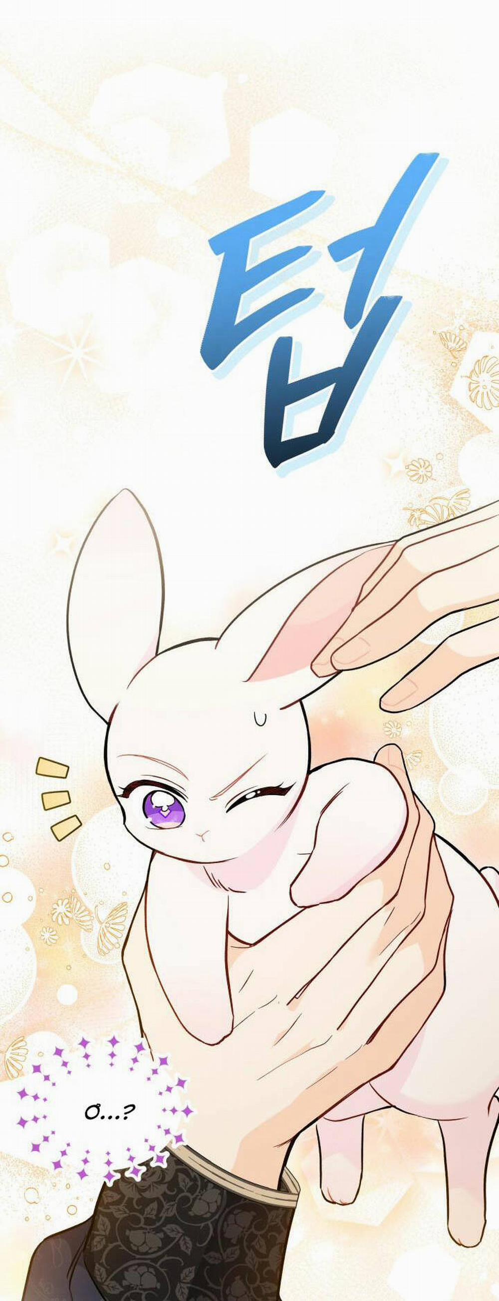 Mối Quan Hệ Cộng Sinh Giữa Báo Đen Và Thỏ Trắng 130 trang 35