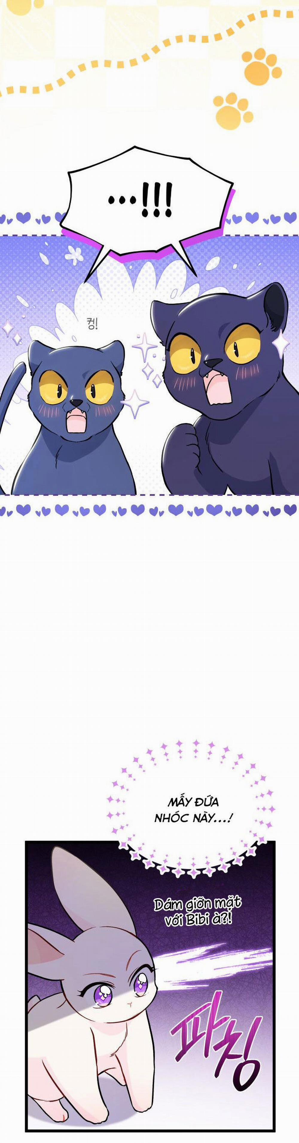 Mối Quan Hệ Cộng Sinh Giữa Báo Đen Và Thỏ Trắng 134 trang 11